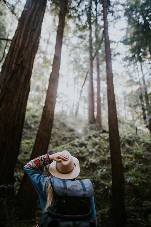 woman forest trekking hand on hat
