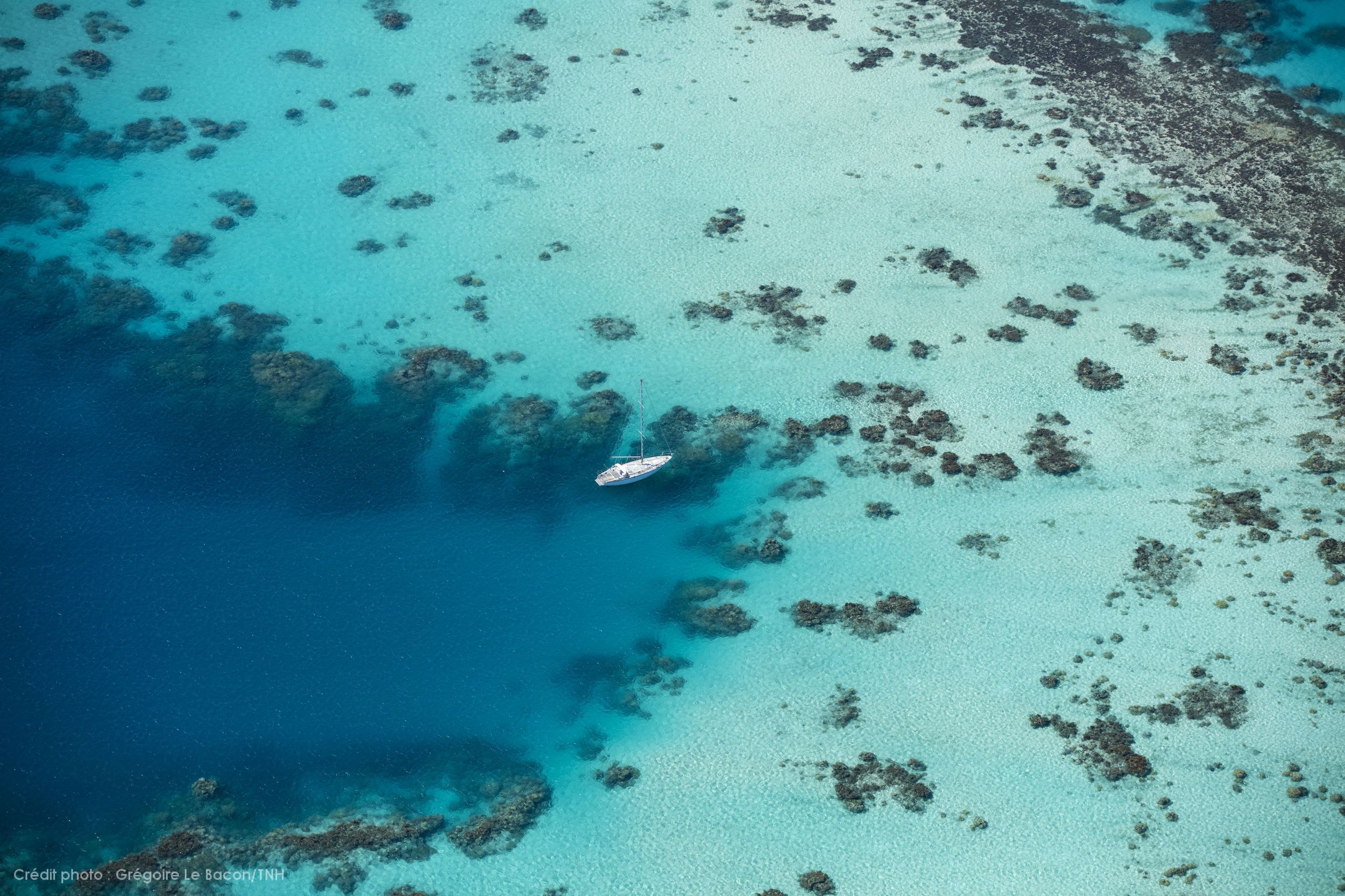 Tahiti Bora Bora Divers