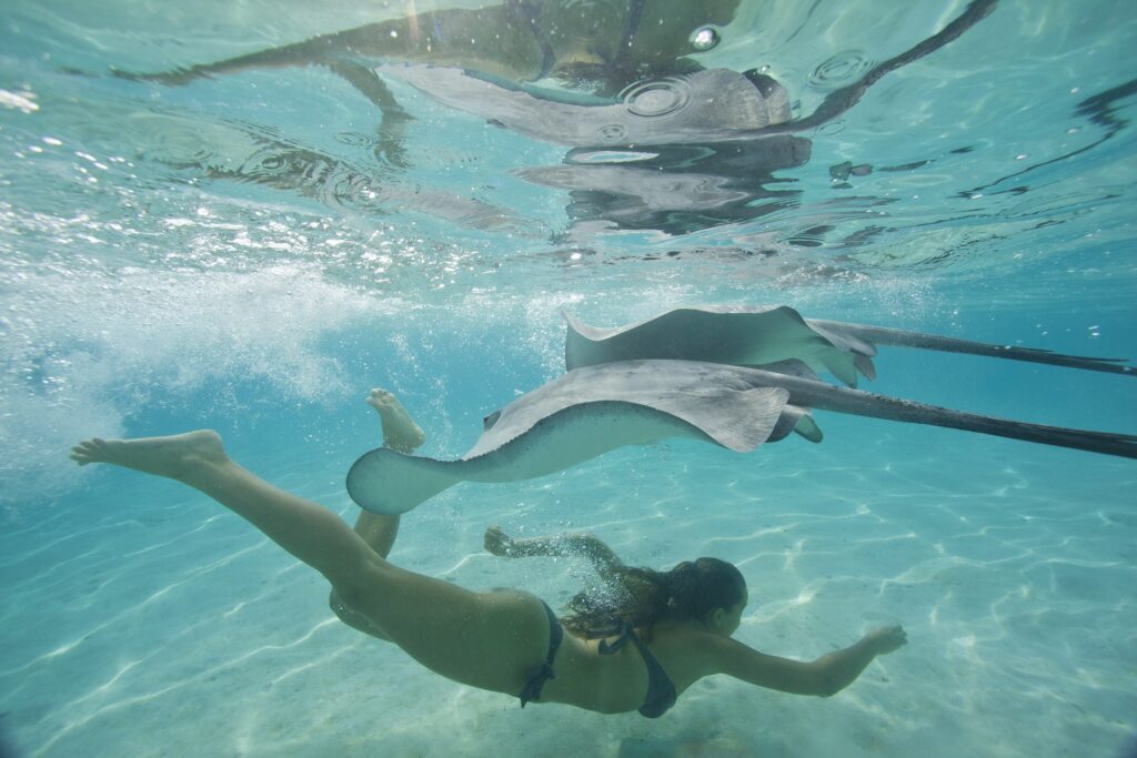 Tahiti Swimming Solo