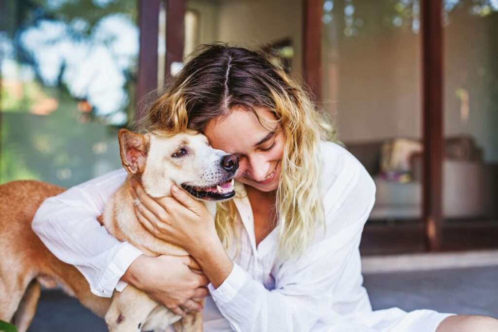 hotels with pet friendly amenities for your furry friend