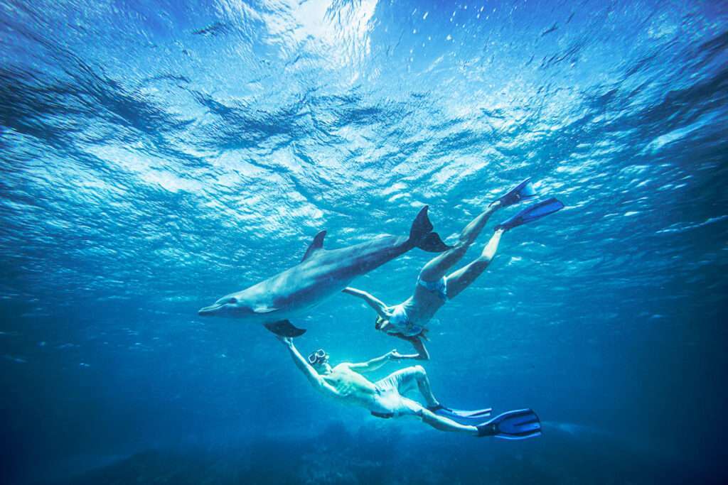 Curacao underwater worlds