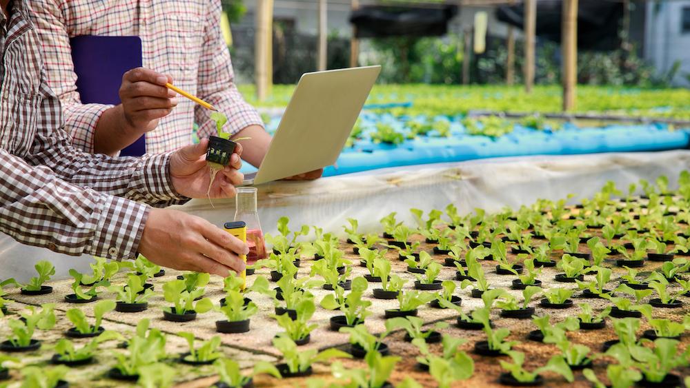 Smart agriculture technology