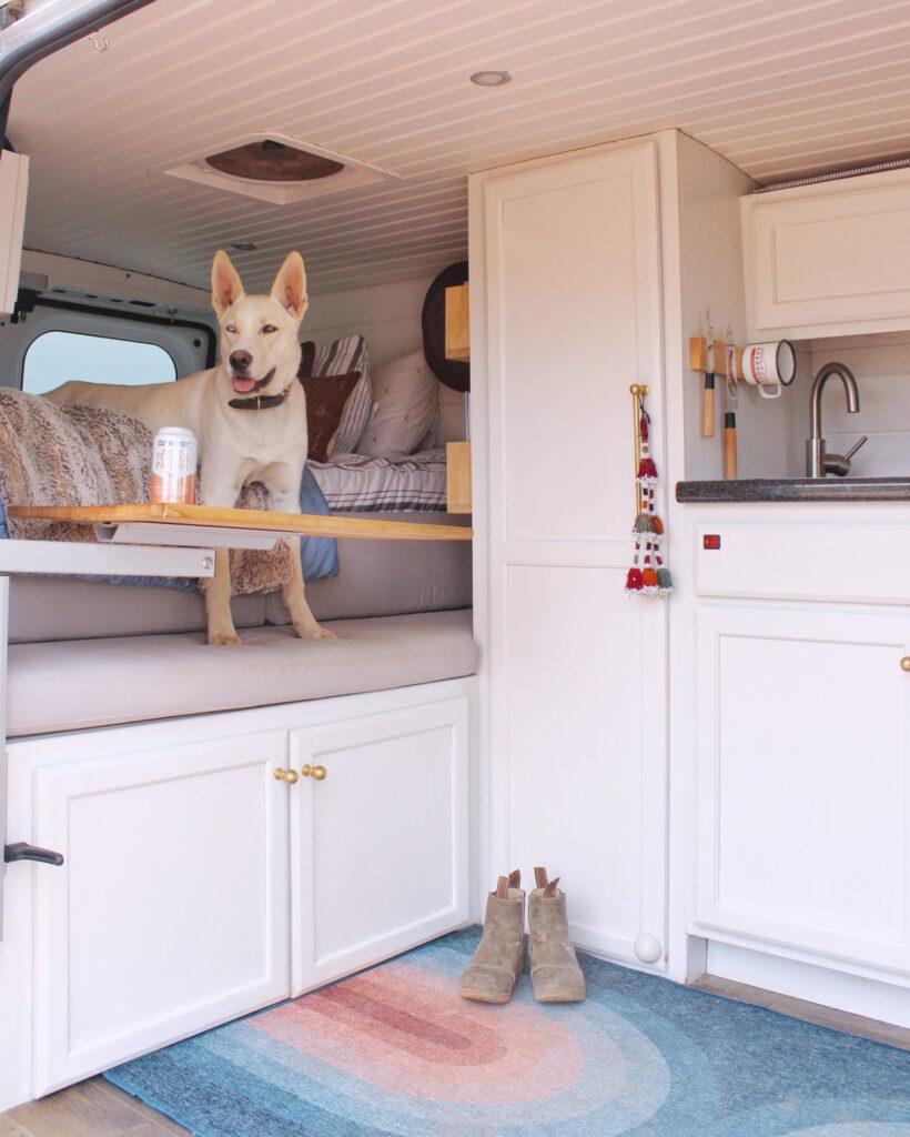 Van Life with a Pup