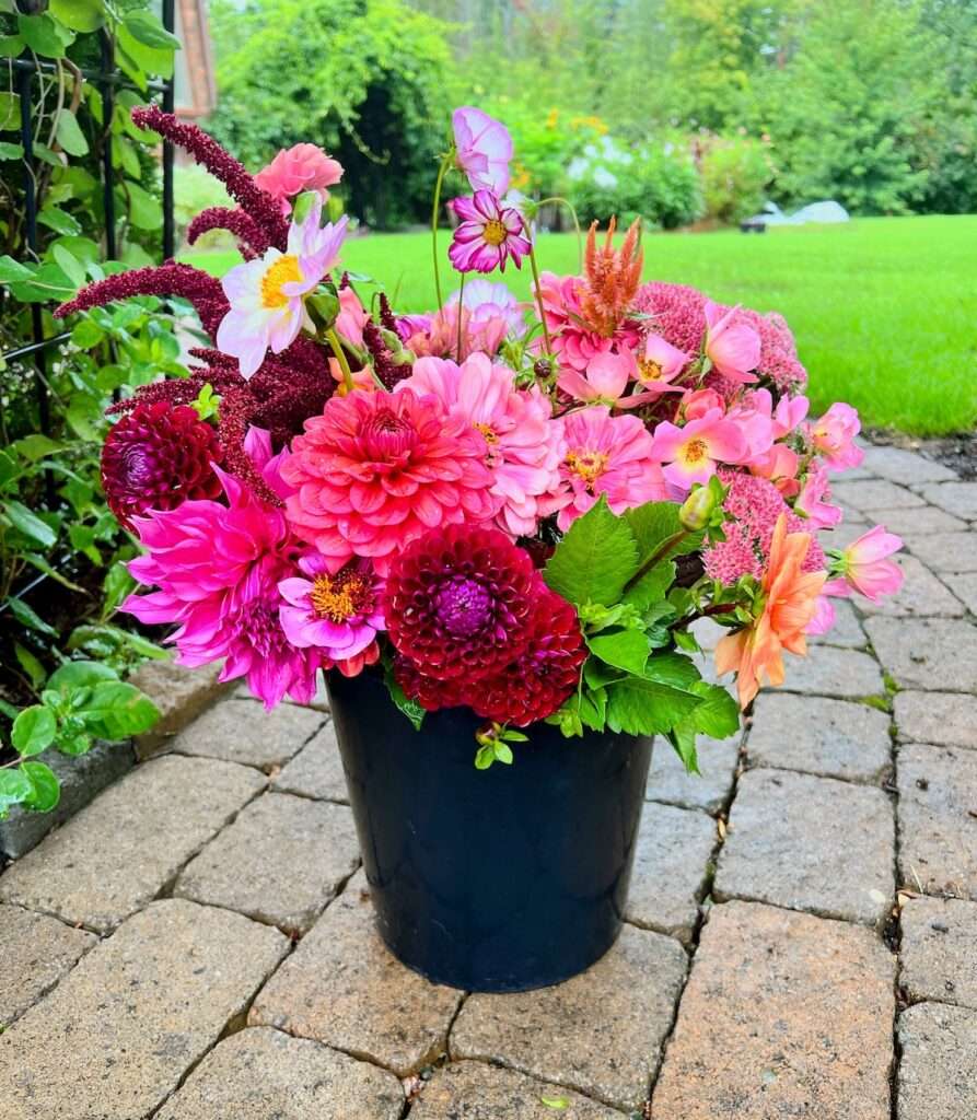 locally-grown flowers in pot