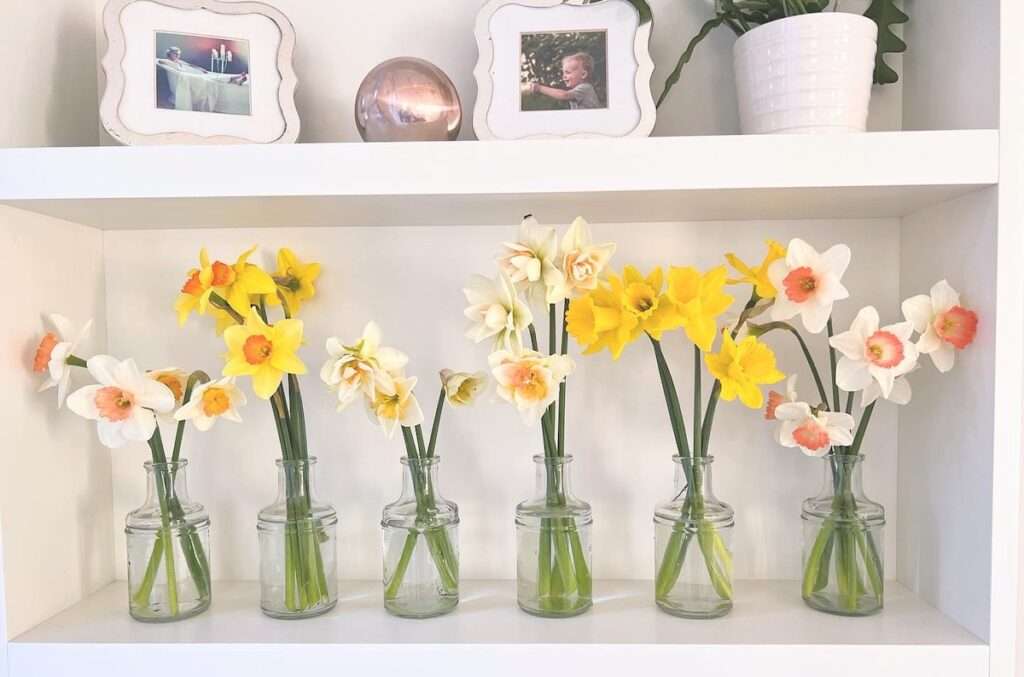 locally-grown flowers in vases