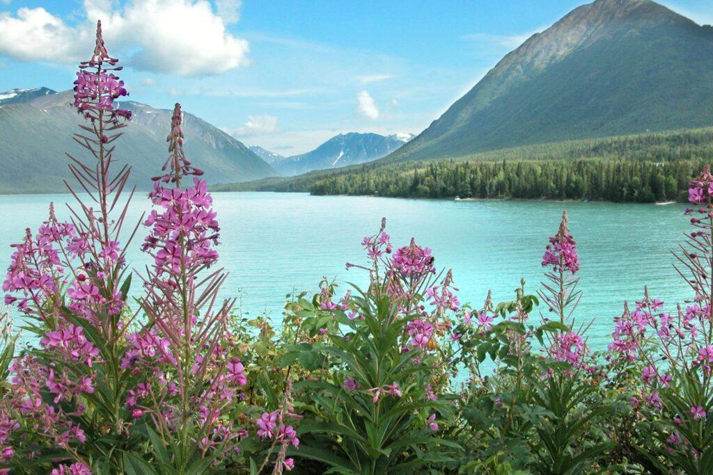 Alaska Range mountain getaway destination